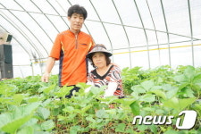 [미래형농가를 찾아서-전북]‘스마트팜’으로 노동력 줄이고, 생산성 높이고