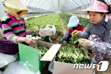 [미래형농가를 찾아서-전북]죽어도 친환경 철학에 과학적 시스템 결합