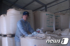 [미래형농가를 찾아서-전북]홀대받던 밀에 ‘올인’, 국내 종자 절반 보급