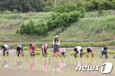 [미래형농가를 찾아서-전남]유기농 외길 32년 ‘뜻있는 곳에 길이 있었네’