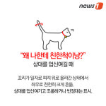 [펫카드]고양이의 신기한 ‘꼬리 언어’