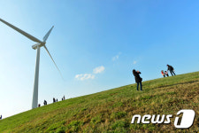 [강원의 재발견⑭]하늘과 초원이 마주한 대관령 하늘목장