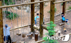 울산 중구 입화산 도시캠핑 명소로 부상