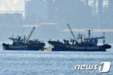 가을 멸치 들어온다