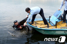 춘천 의암호 바닦에서 건져올린 타이어