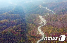 구룡령을 수놓은 단풍