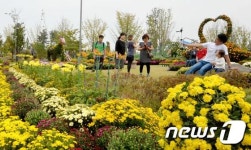 국화축제 앞둔 대전 유림공원