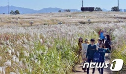 자연생태원예교육원하늘이 | 하늘공원에서 만드는 가을추억