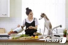 나샘, 반려동물을 위한 건강식 브랜드 베소 론칭