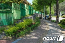 천안시, 명품가로숲길 조성…2020년까지 50억 투입