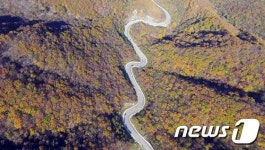 그림같은 진고개