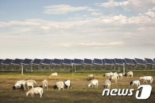 OCI, 美서 추가 계약…50MW 규모 태양광 발전소 건설