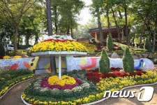 화순군, 힐링푸드 페스티벌·국화향연 22일 동시 개막