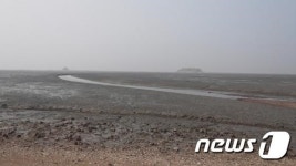 매향리 농섬 갯벌...정화사업 첫발 내디뎠다