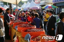 논산시, 제14회 연산대추축제 23일 개막