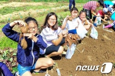 현대학원, 25년째 학생들과 ‘고구마 수확제’