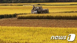 합천군,들녘경영체 집중 육성…2020년까지 1200ha