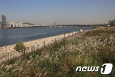 이곳에 가면 가을이 있다…한강 걷기좋은 길 베스트 7