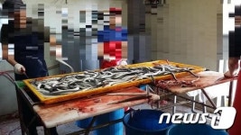 세균 득실 오염수로 씻은 장어 판매해 13억 번 악덕 업주