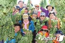 양구 펀치볼 시래기 축제 성황리 개최