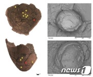 신석기 대규모 취락지서 초기 농경 실체 단서 발견