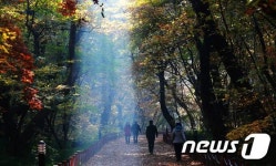 함양군 상림 공원의 빛내림
