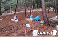 창녕군산림조합, ‘약초재배단지’ 로 소득증대 추진