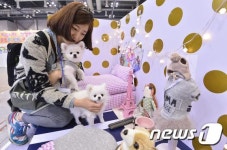강아지를 위한 방