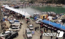 거제대구수산물축제 12월 19일 ~ 20일 개최