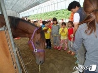 마사회 사회공헌 공수표?…시흥승마힐링센터 폐쇄 검토