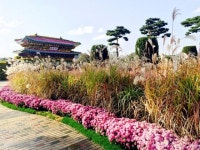 함평 특산품 한우·단호박, ‘국향대전’ 성료와 함께 우수성 알려