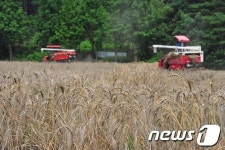 홍천 상아온리 친환경영농한우법인, 조사료 품질 입증