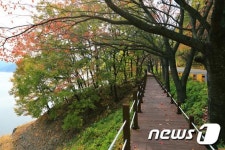 계절마다 색다른 멋…대청호오백리길 걸어봐