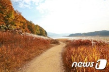 계절마다 색다른 멋…대청호오백리길 걸어봐