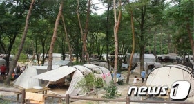 산림교육프로그램 인증기준 완화… 활성화 법령 개정