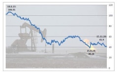 베네수엘라·GS 내년 유가 20달러대 추락 가능