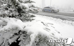 대설주의보...겨울이 성큼