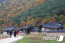 [농암종택] 600년 역사를 머금은 농암 고택