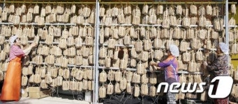 메주 익어가는 마을