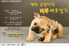 서울대 동물병원 ‘반려동물 문화교실’ 무료 강좌