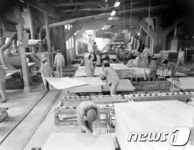 1965년 성창기업주식회사 수출용 베니어합판 공장