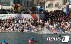 겨울바다 거제도펭귄수영축제 내년 1월 23일 개최
