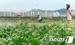 서울시민이 뽑은 최고의 한강공원은 반포한강공원