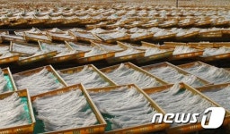 밀양은 한국 자연 한천의 주산지