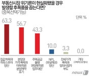 부동산 시장 위기론, 대출규제 영향 크다