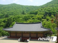 나주 불회사 비자나무숲, 국가산림문화자산 지정