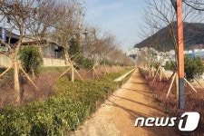 회색 도시 사상공단, 푸르른 지역 재탄생