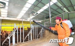 구제역, 예방이 최우선