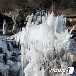 대관령에 솟아난 얼음나무