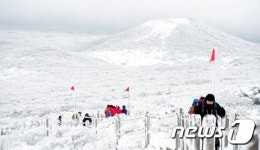 눈꽃 만발한 제주 한라산